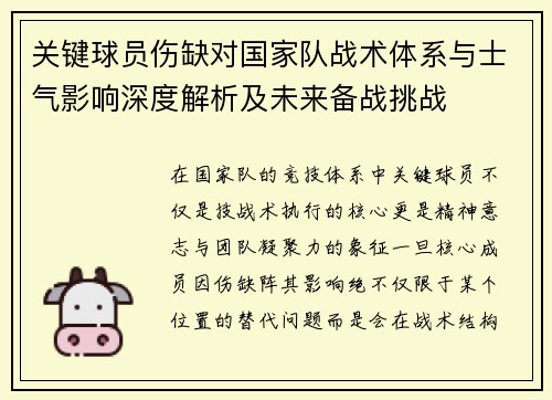 关键球员伤缺对国家队战术体系与士气影响深度解析及未来备战挑战